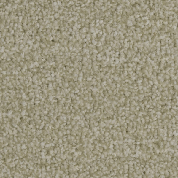 Victoria Carpets Heartland Clent