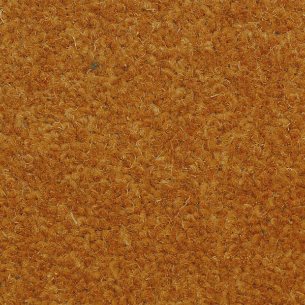 Victoria Carpets Splash Pumpkin Pie