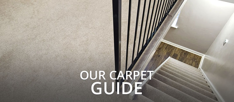 Carpet Guide